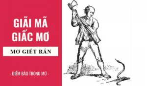 Mơ giết rắn là điềm gì?