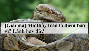 Nằm mơ thấy trăn nên đánh con gì?